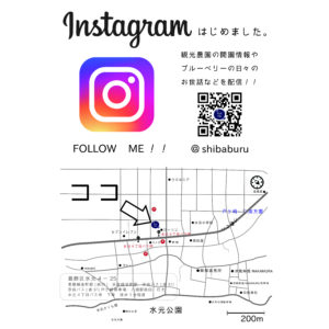 ブルーベリー狩り関東東京シバブルsibaburuしばぶる
